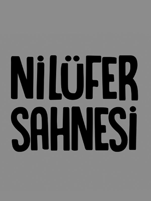 Bursa Nilüfer Sahnesi